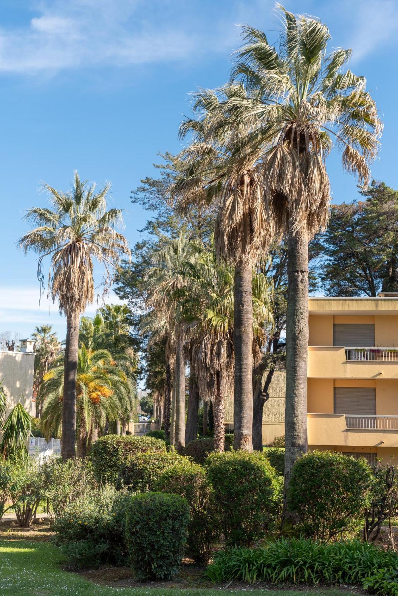 Les 15 Pins & La Mer -Your Green Getaway Near Sea & Beach Antibes Bagian luar foto